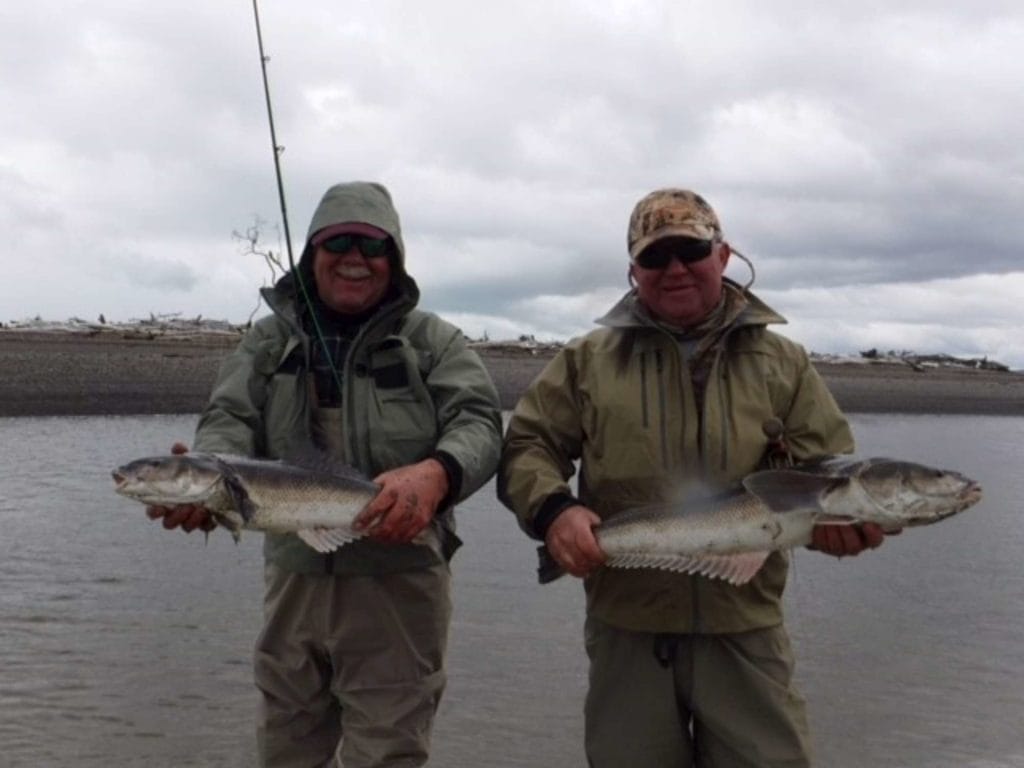 Irigoyen River, Tierra del fuego, TDF, fishing Irigoyen, sea trout fishing Argentina, sea trout Irigoyen, TDF flies, Rio Grande flies, fishing Rio Grande Argentina, sea trout Rio Grande, World End Lodge, WEL, Far End Rivers, aardvark mcleod.