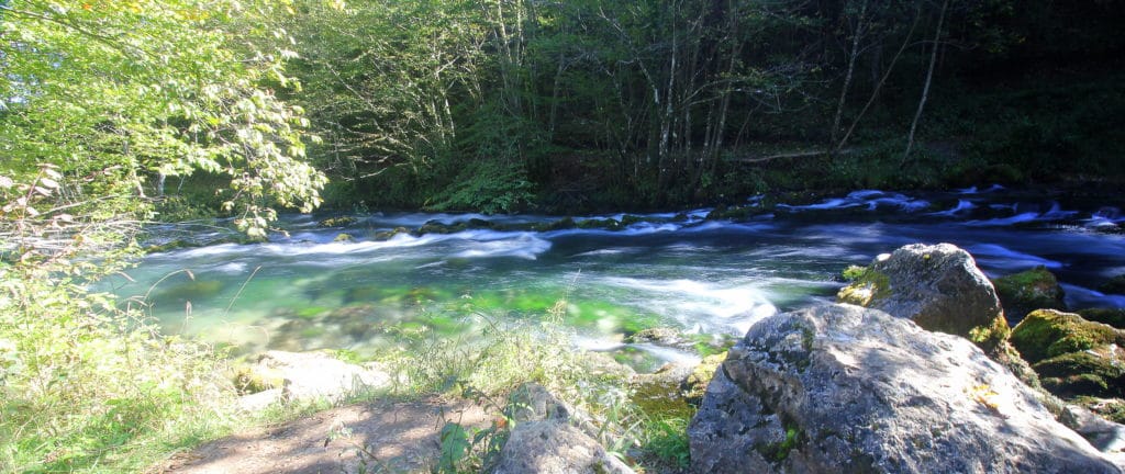 Bosnia, Fly Fishing, Brown Trout, dry fly fishing, grayling, Ribnik, Pliva