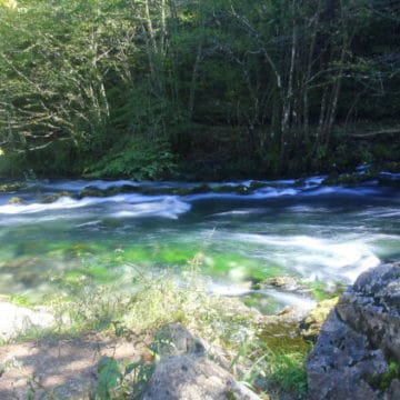 Bosnia, Fly Fishing, Brown Trout, dry fly fishing, grayling, Ribnik, Pliva