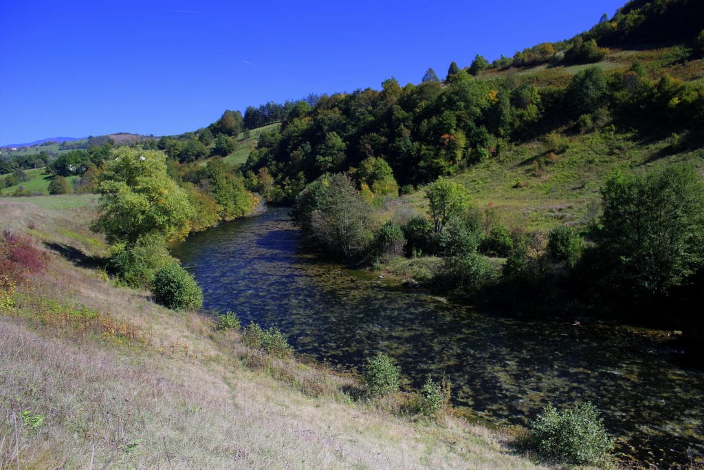 Bosnia, Fly Fishing, Brown Trout, dry fly fishing, grayling, Ribnik, Pliva