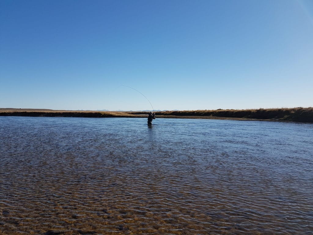 Aurelia Lodge, Rio Grande, sea trout, Argentina, Tierra del Fuego