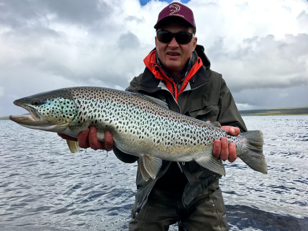 Thingvallavatn, Lake Thingvellir, trout fishing Iceland, brown trout, Iceland fishing guide, Aardvark McLeod, fishing in Iceland