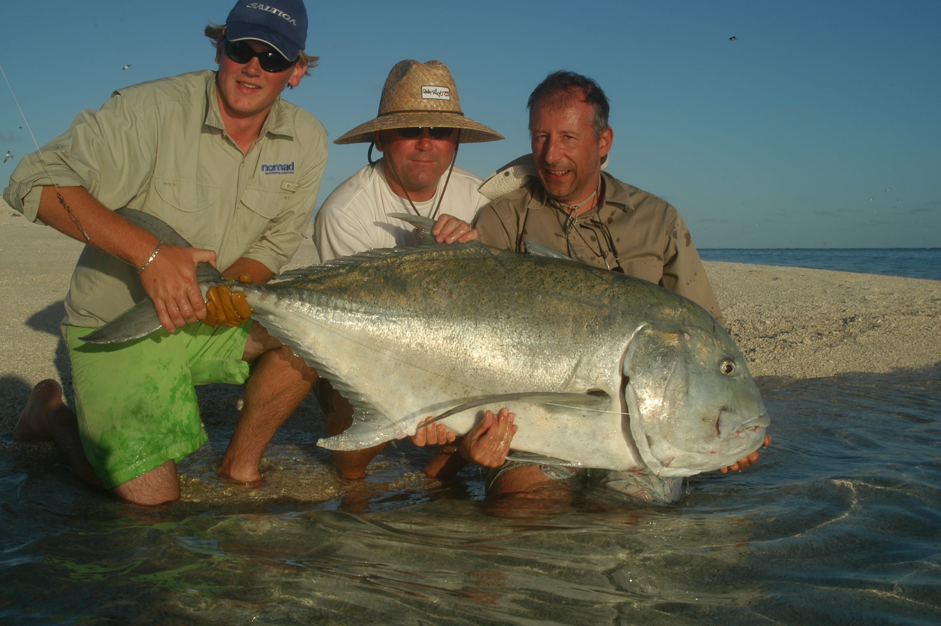 Nomad, Coral Sea, Australia, Aardvark McLeod