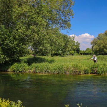 Mayfly, chalkstream, river test, river anton, river avon,