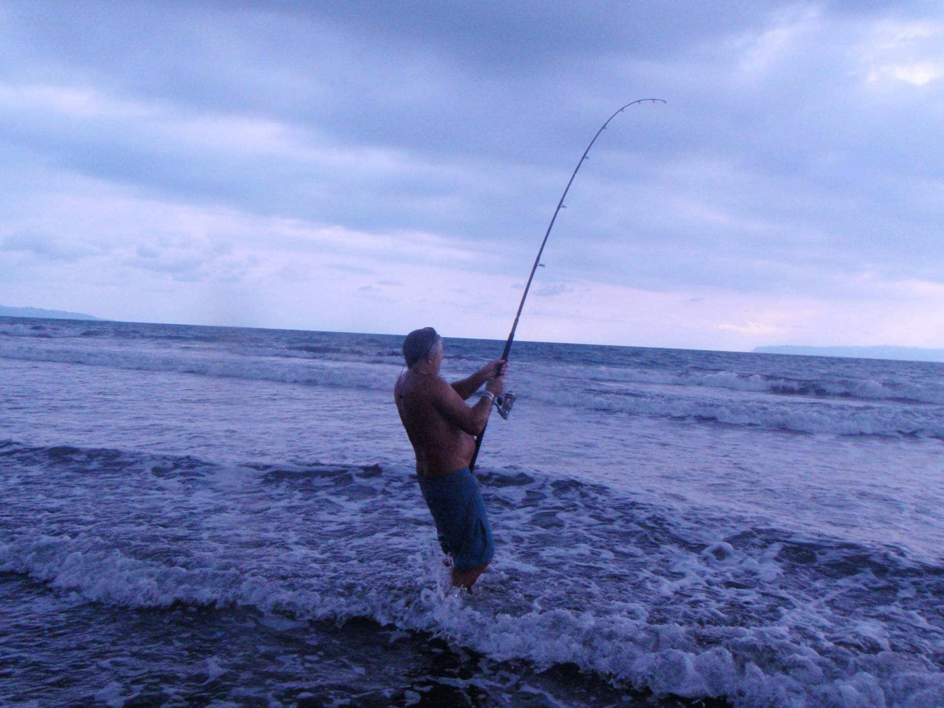 Rooster fish, Baja, fishing for Roosters, Rooster fish on fly