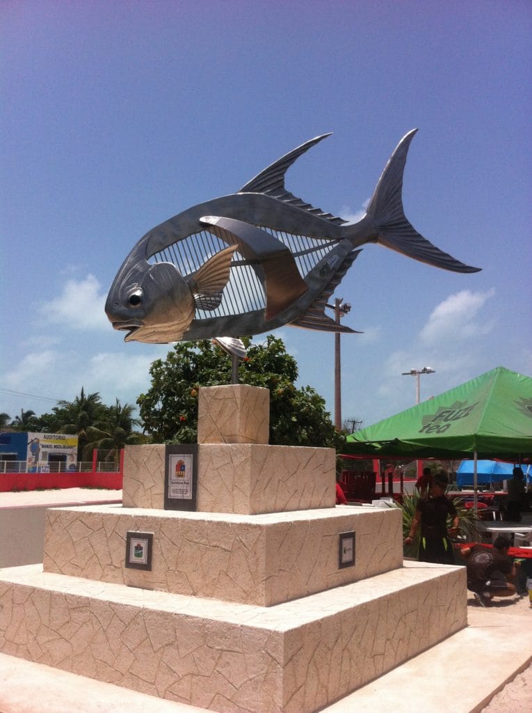 Punta Allen Fishing Club, Ascension Bay, Yucatan Peninsula, Fishing Mexico, Aardvark McLeod