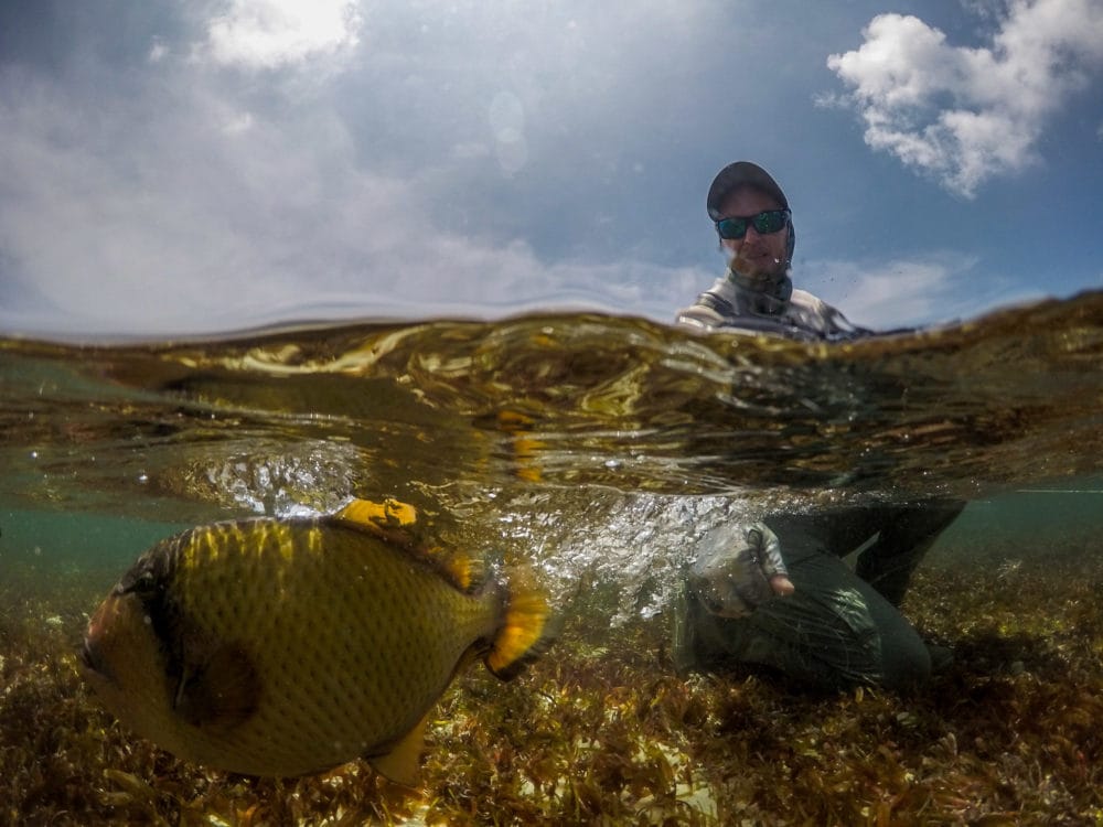 Astove atoll, Seychelles, fishing Astove, fishing in Seychelles, GTs, giant trevally, bonefish, triggerfish, permit, Aardvark McLeod