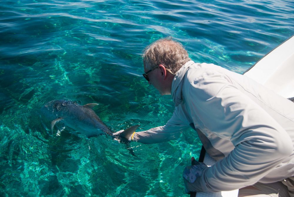 Cosmoledo atoll, Seychelles, fishing Astove, fishing in Seychelles, GTs, giant trevally, bonefish, triggerfish, permit, Aardvark McLeod