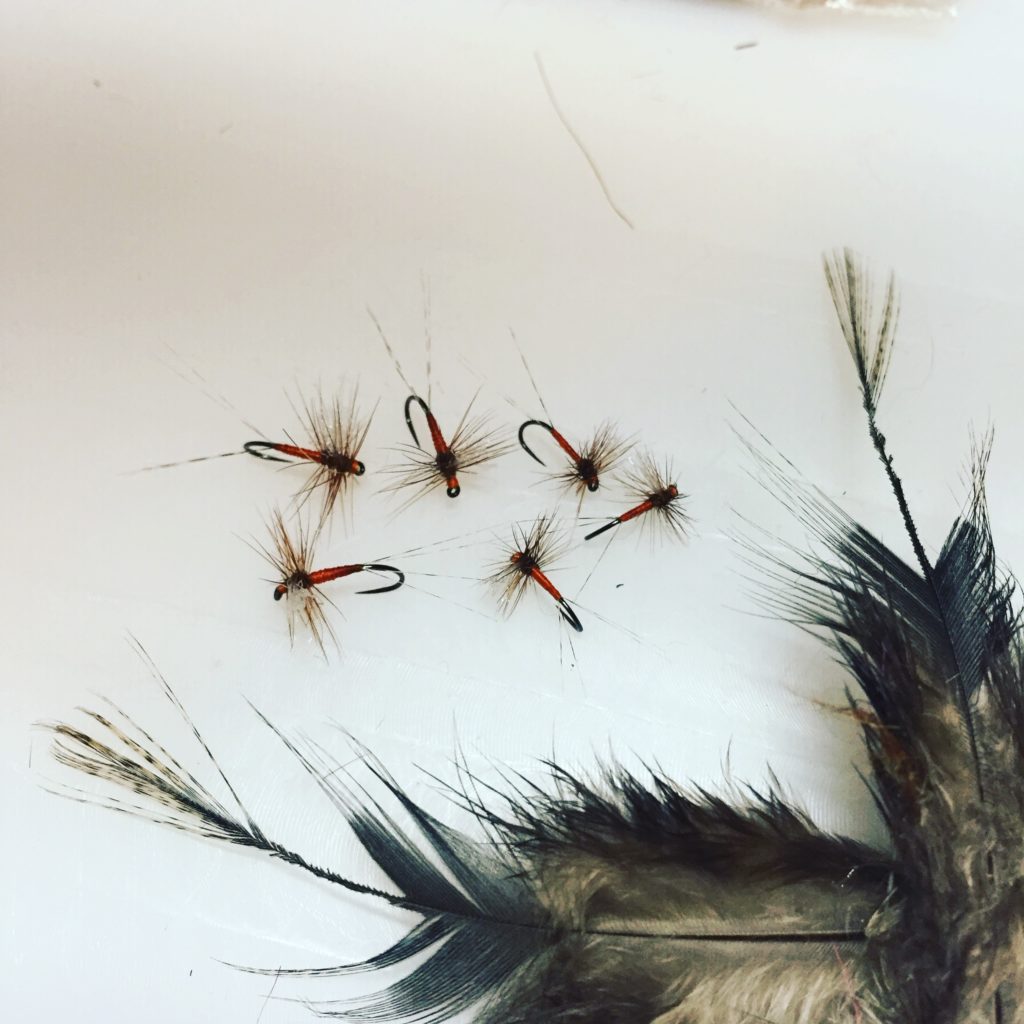 dry fly, trout fishing, chalkstream, river test, brown trout
