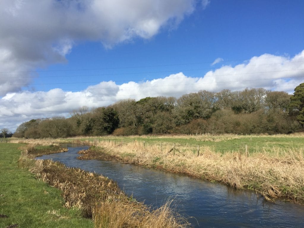 River Frome, brown trout fishing, grayling fishing, chalkstream fishing, Aardvark McLeod