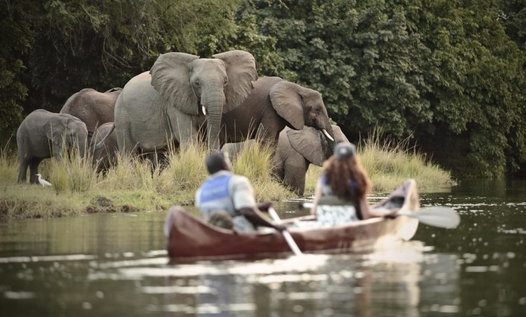 Chongwe, Lower Zambezi, Zambia, Safari, Zambezi, Tigerfish