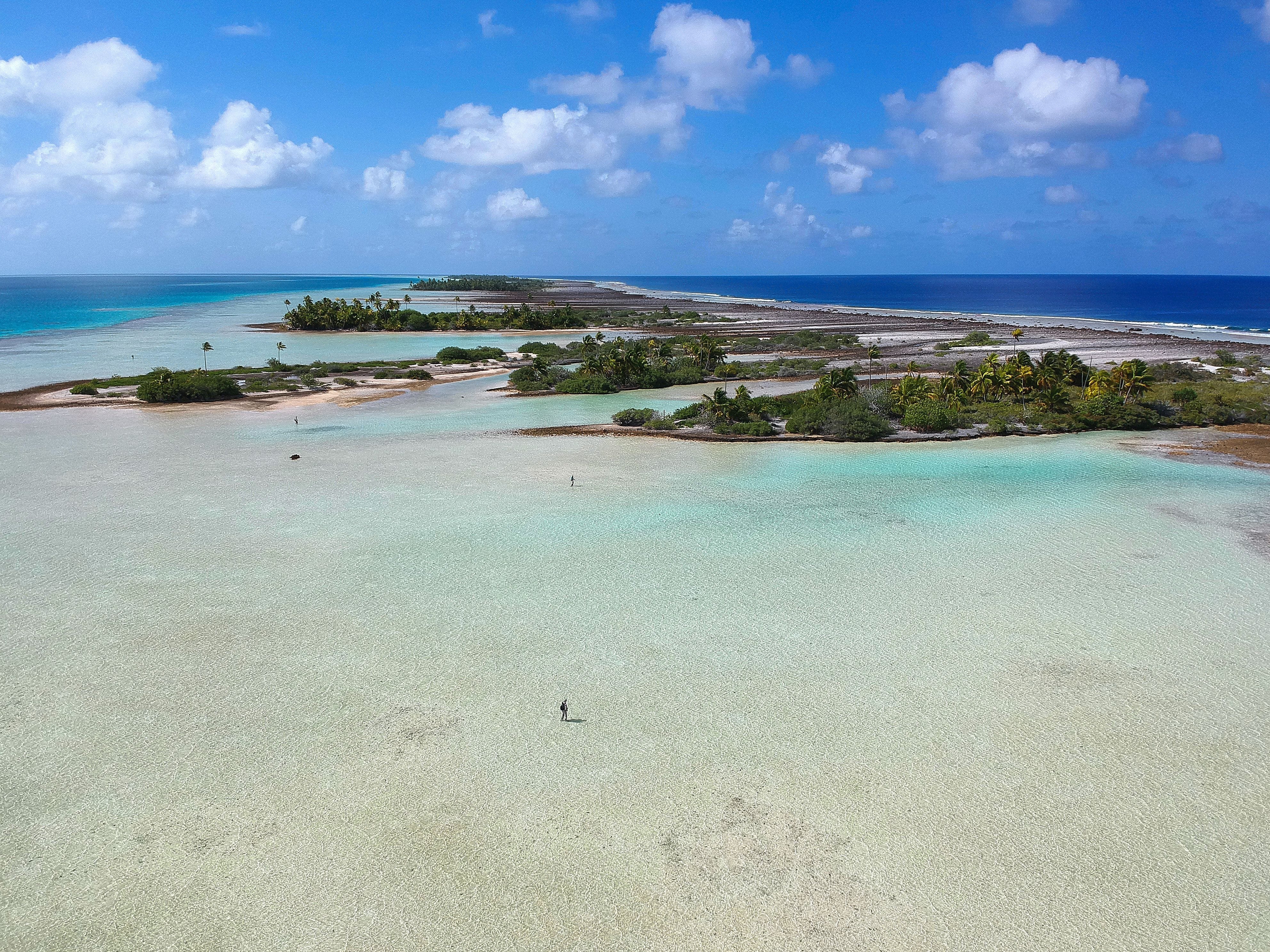 Tuamotu, French Polynesia, Aardvark McLeod