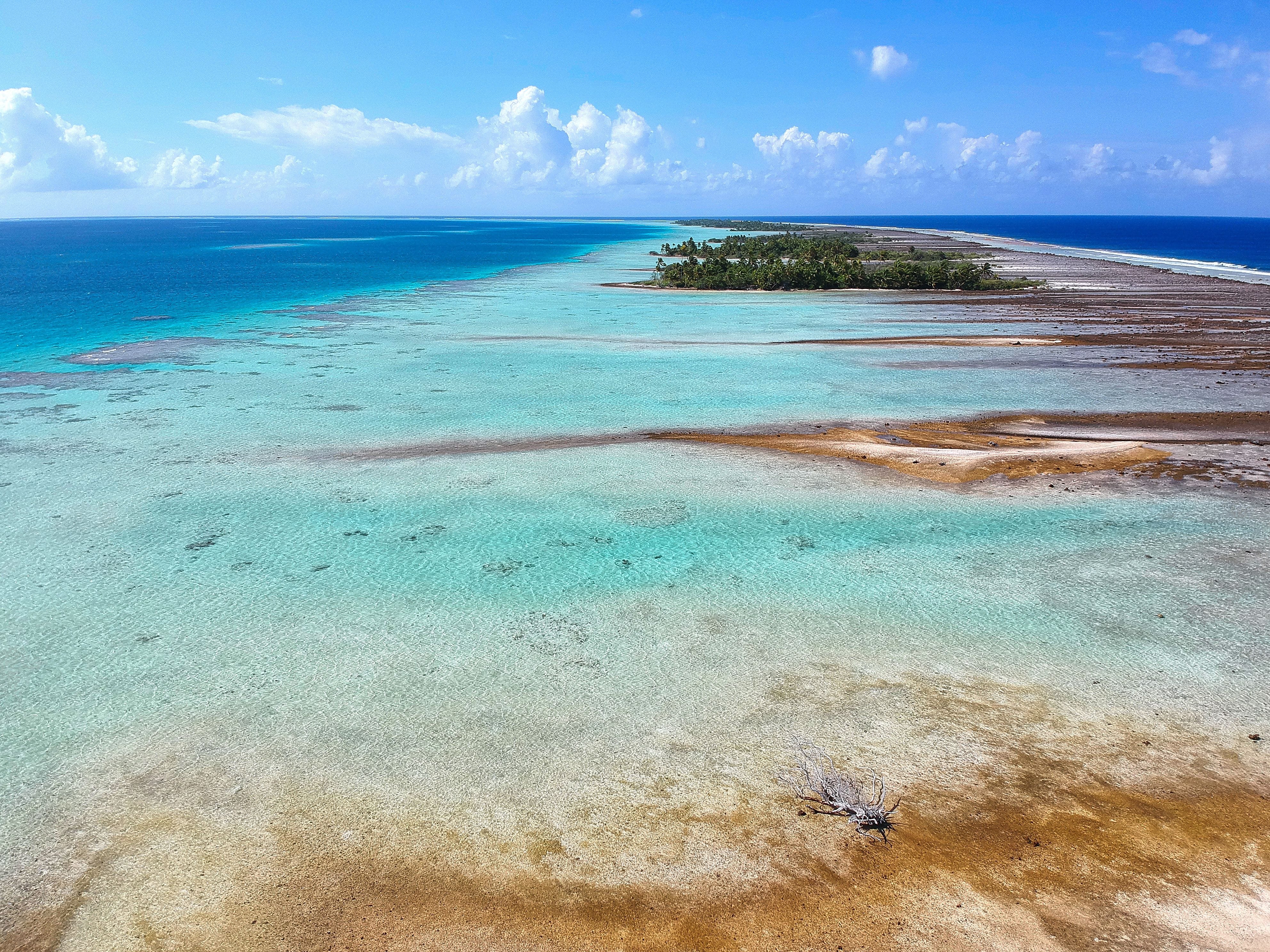 Tuamotu, French Polynesia, Aardvark McLeod