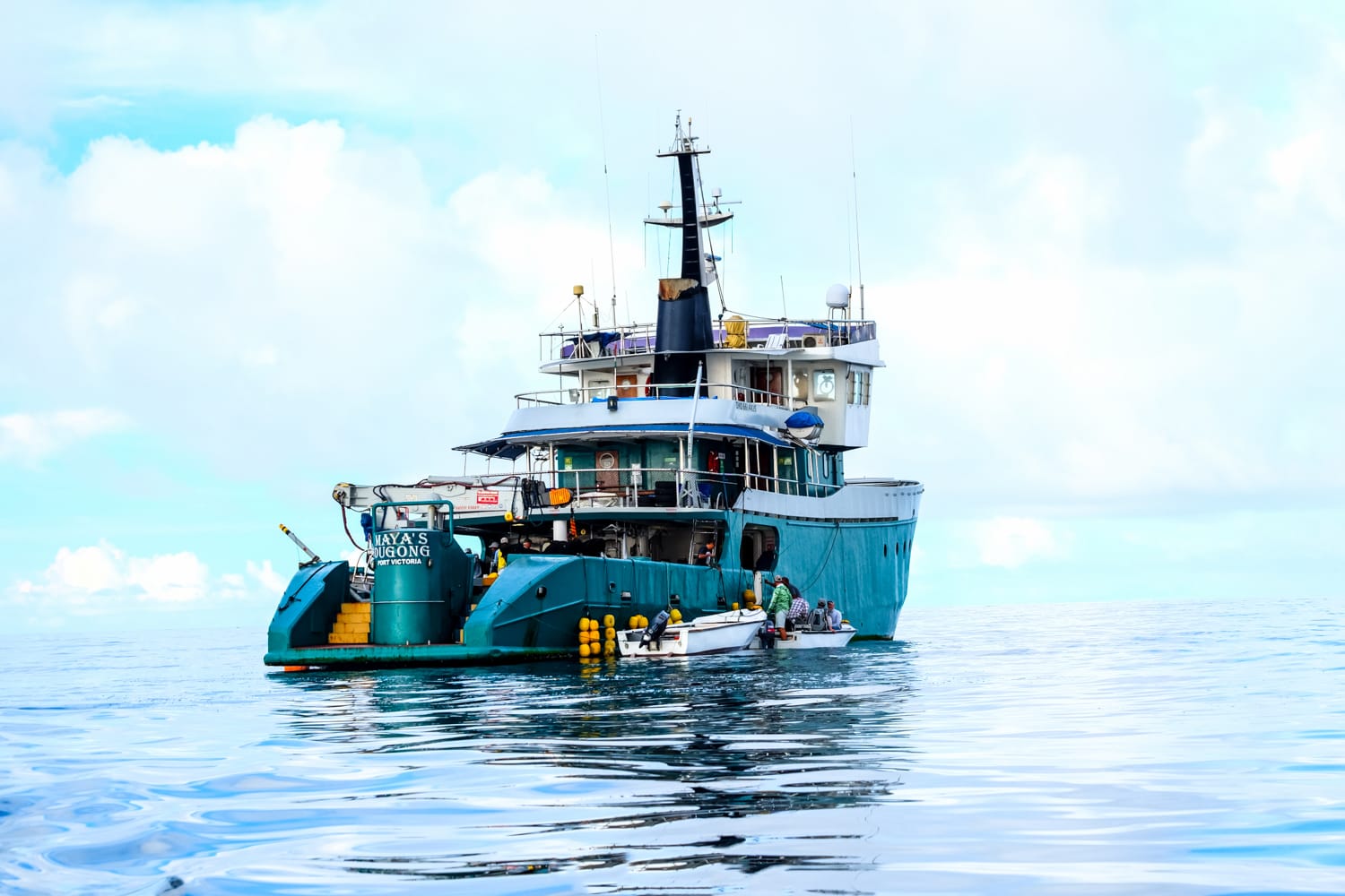 Providence Atoll, Seychelles, Aardvark McLeod