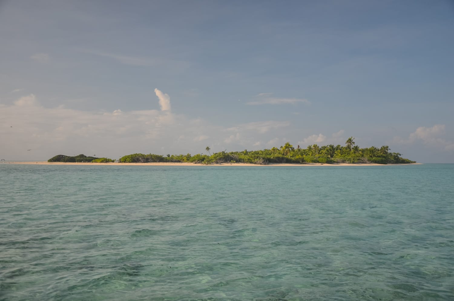 Providence Atoll, Seychelles, Aardvark McLeod