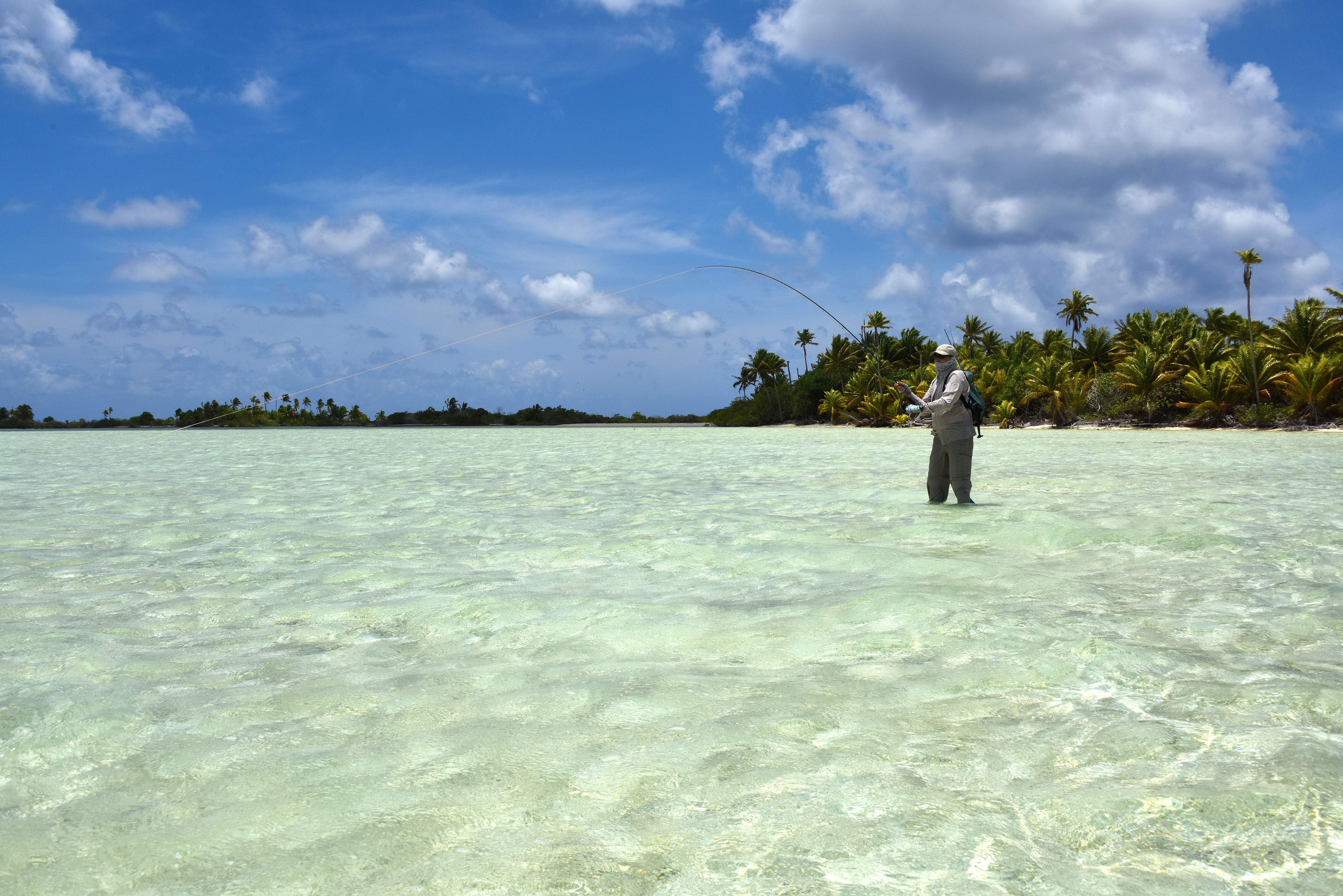 Tuamotu, French Polynesia, Aardvark McLeod