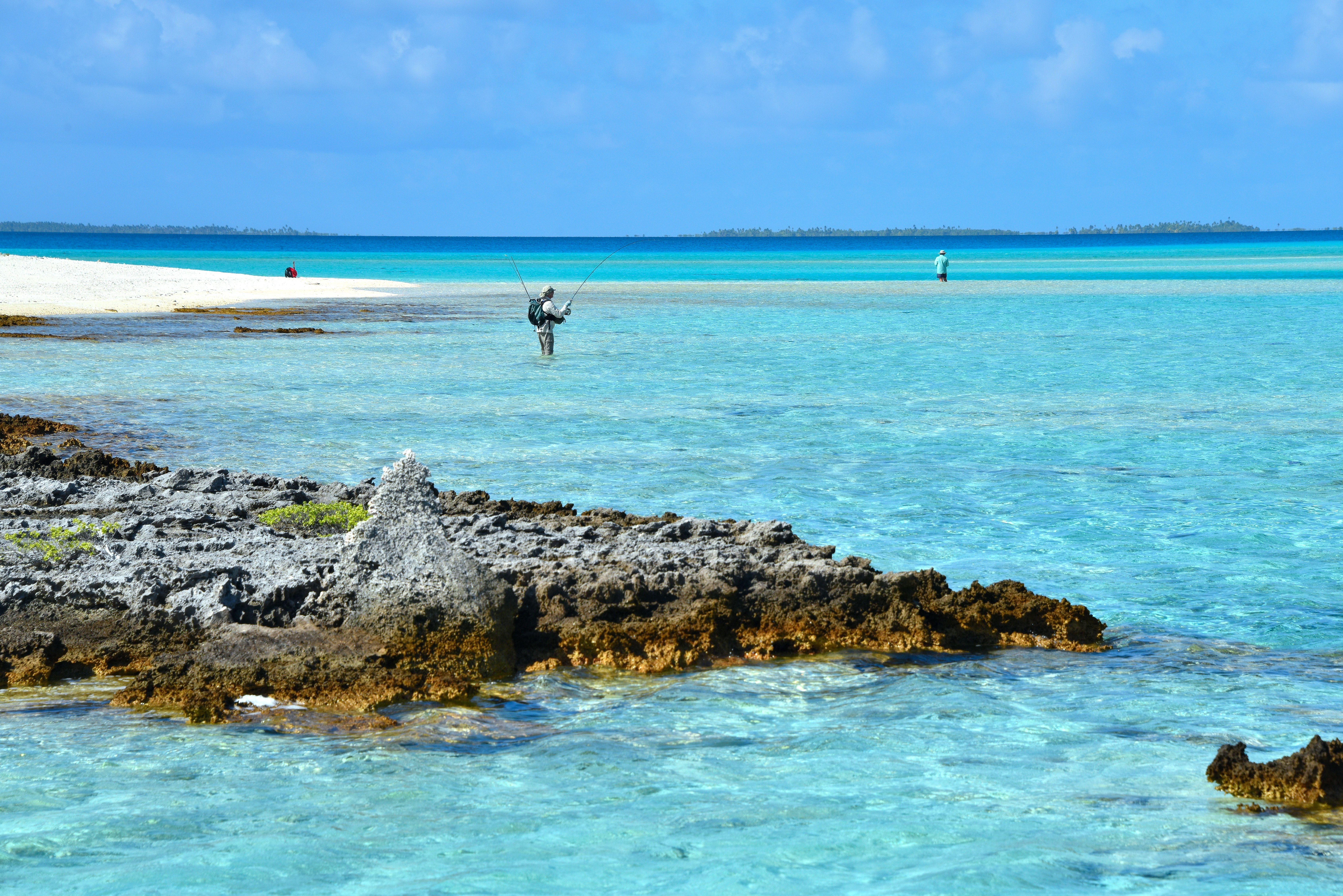 Tuamotu, French Polynesia, Aardvark McLeod