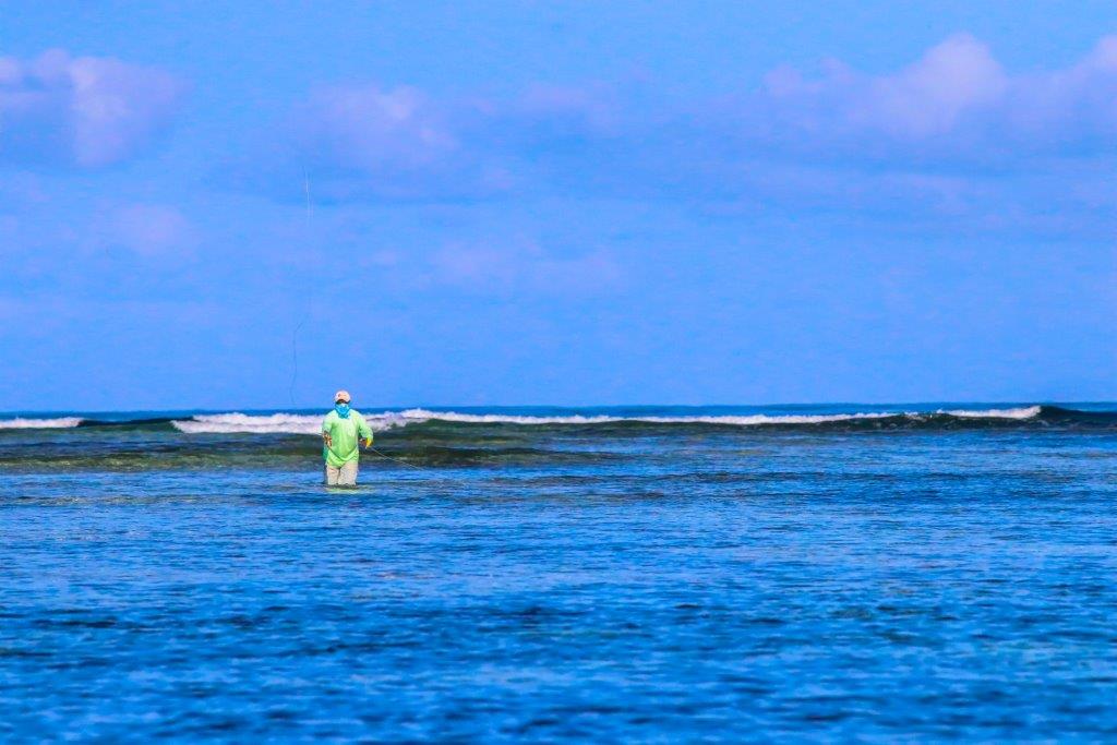 Providence Atoll, Seychelles, Aardvark McLeod