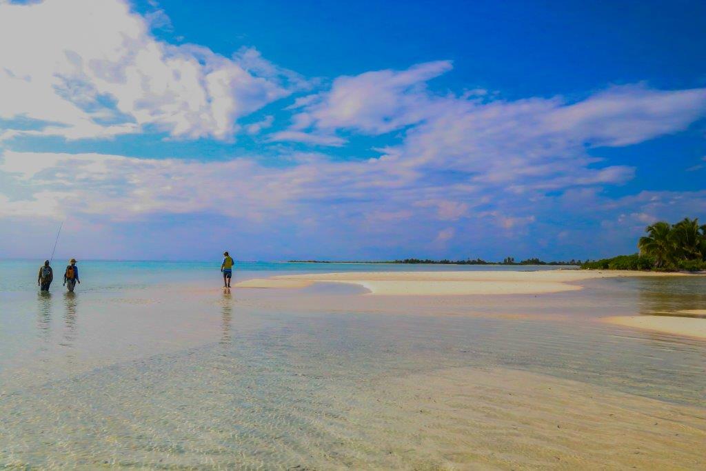 Providence Atoll, Seychelles, Aardvark McLeod