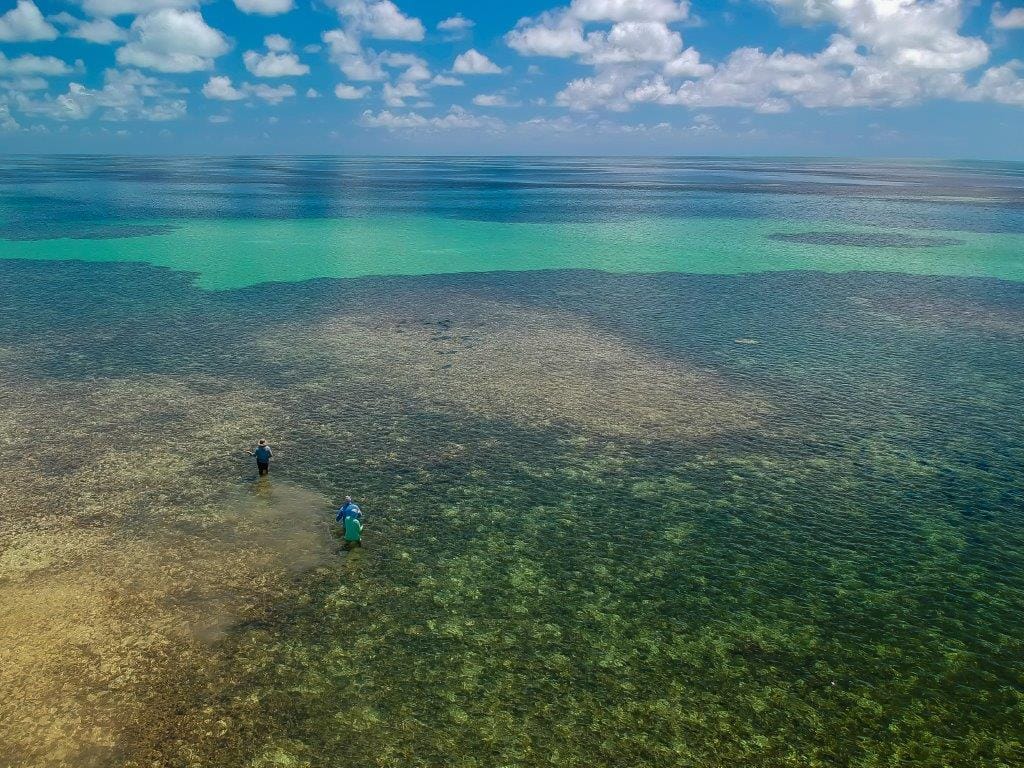 Providence Atoll, Seychelles, Aardvark McLeod