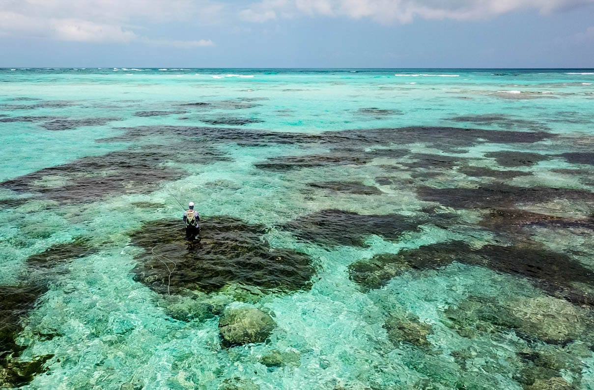 Providence Atoll, Seychelles, Aardvark McLeod