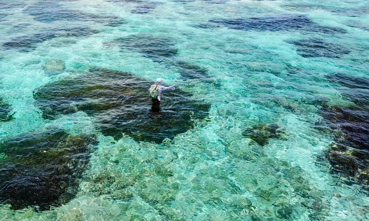 Providence Atoll, Seychelles, Aardvark McLeod