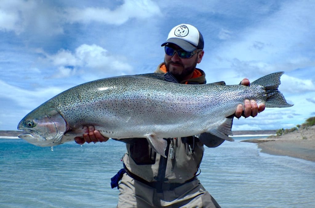 Aardvark McLeod, Estancia Laguna Verde, fishing argentina, Jurassic Lake, huge rainbow trout, barrancoso river, wild rainbow trout, lago strobel, moro creek, elv, fishing calafate, sight fishing trout