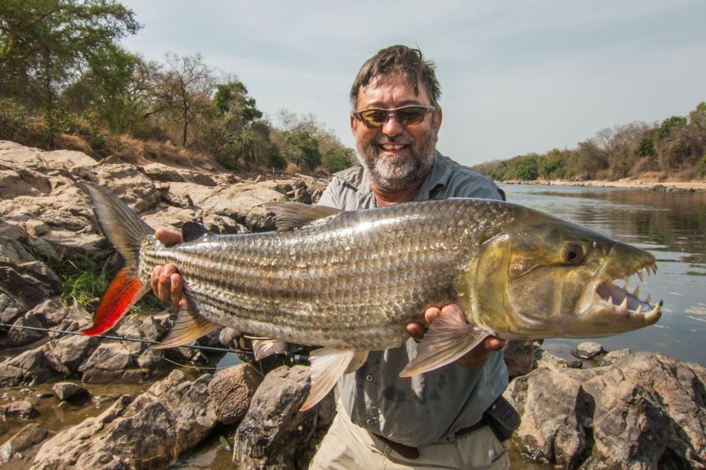 Capitaine, Nile Perch, Cameroon, Cameroon fishing, Cameroon nile perch, Cameroon tigerfish, Cameroon safari, Cameroon yellowfish