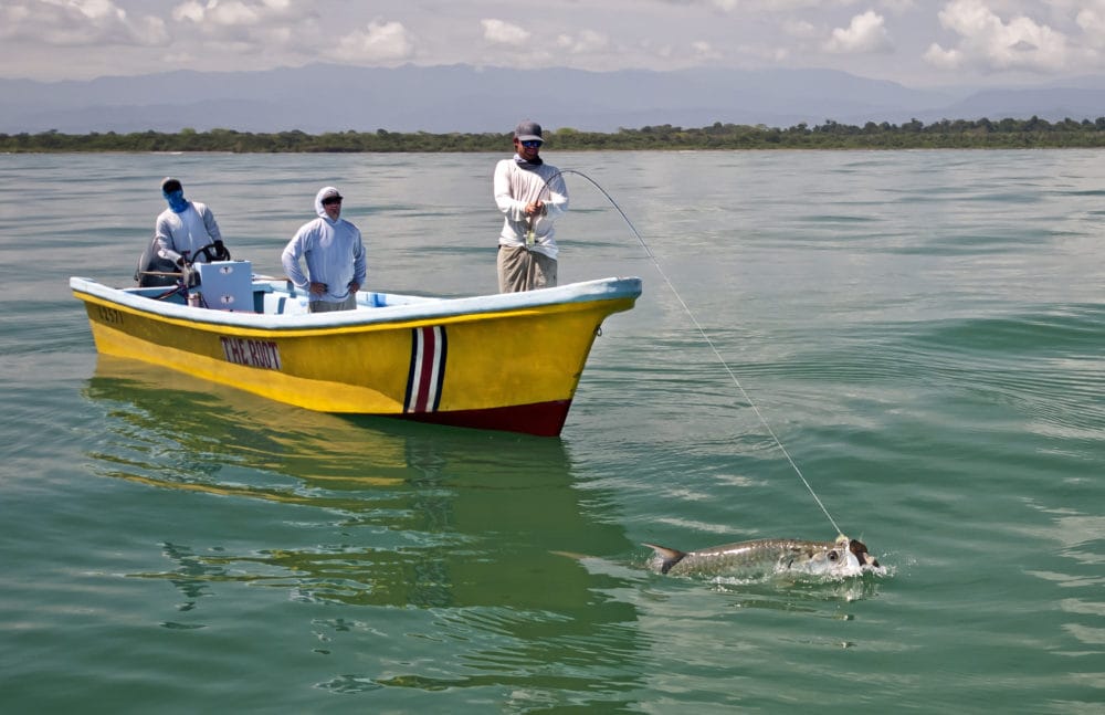 Tarponville, Costa Rica, Aardvark McLeod