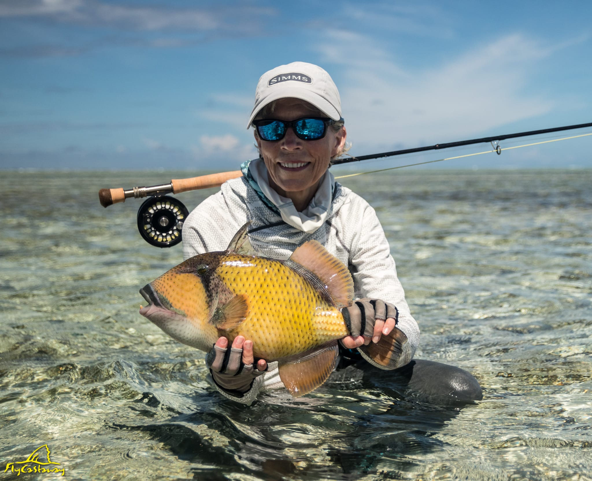 Farquhar Atoll, Seychelles, Aardvark McLeod