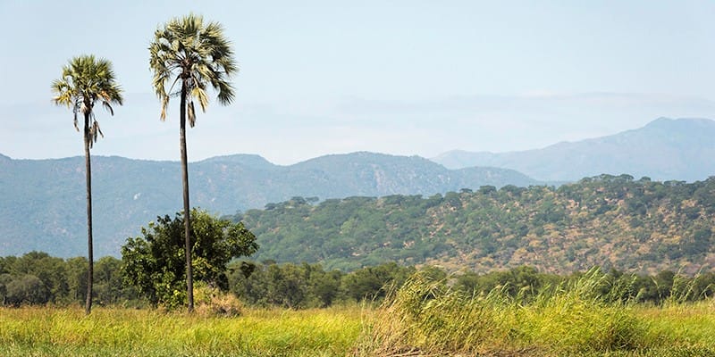 Malawai, Liwonde, Kuthengo Safari Camp, safari in Malawi, holiday in Malawi, Liwonde National Park