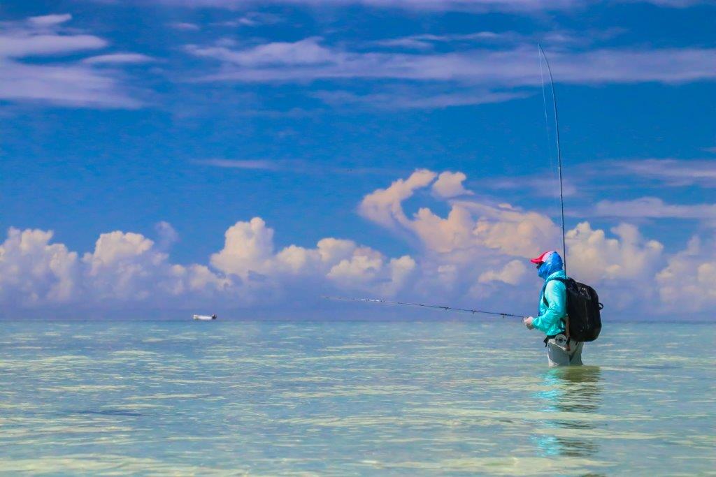 Providence Atoll, Seychelles, Aardvark McLeod