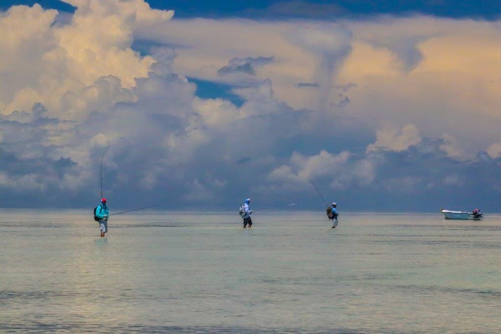 Providence Atoll, Seychelles, Aardvark McLeod