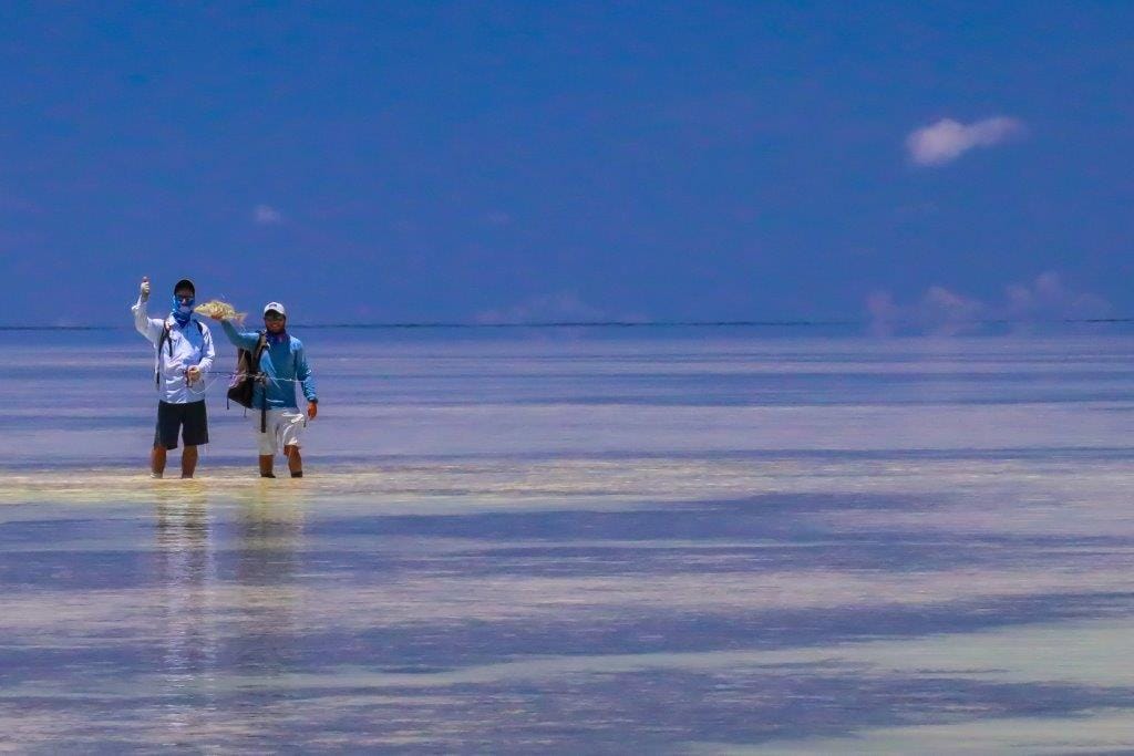 Providence Atoll, Seychelles, Aardvark McLeod