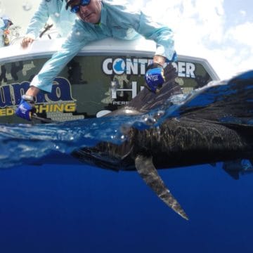 Sailfish, Zancudo Lodge, Costa Rica