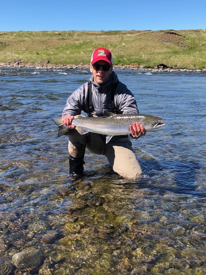 Atlantic salmon, Haukadalsa, Iceland, Aardvark McLeod