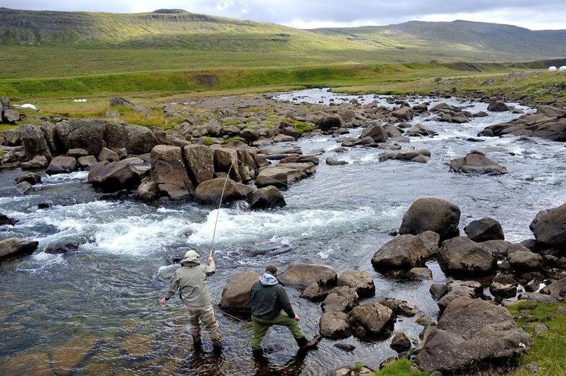 Laxa I Dolum, Iceland, Aardvark McLeod