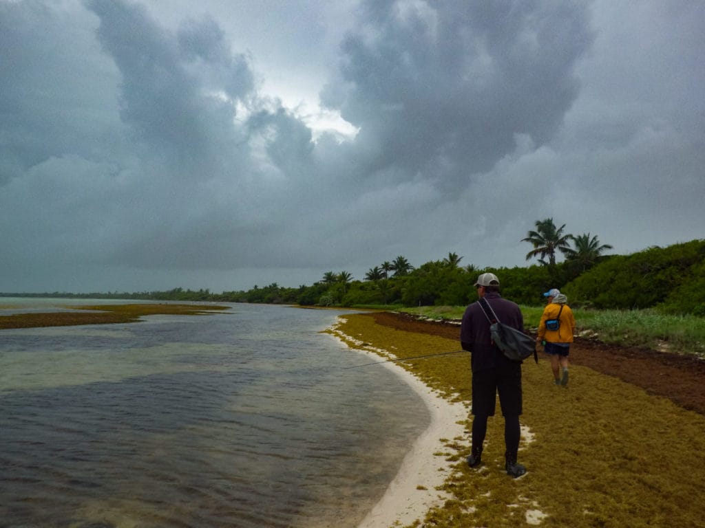 Punta Allen Fishing Club, Ascension Bay, Yucatan Peninsula, Fishing Mexico, Alex Jardine, Aardvark McLeod