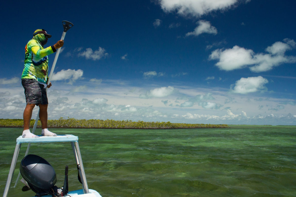 Punta Allen Fishing Club, Ascension Bay, Yucatan Peninsula, Fishing Mexico, Alex Jardine, Aardvark McLeod