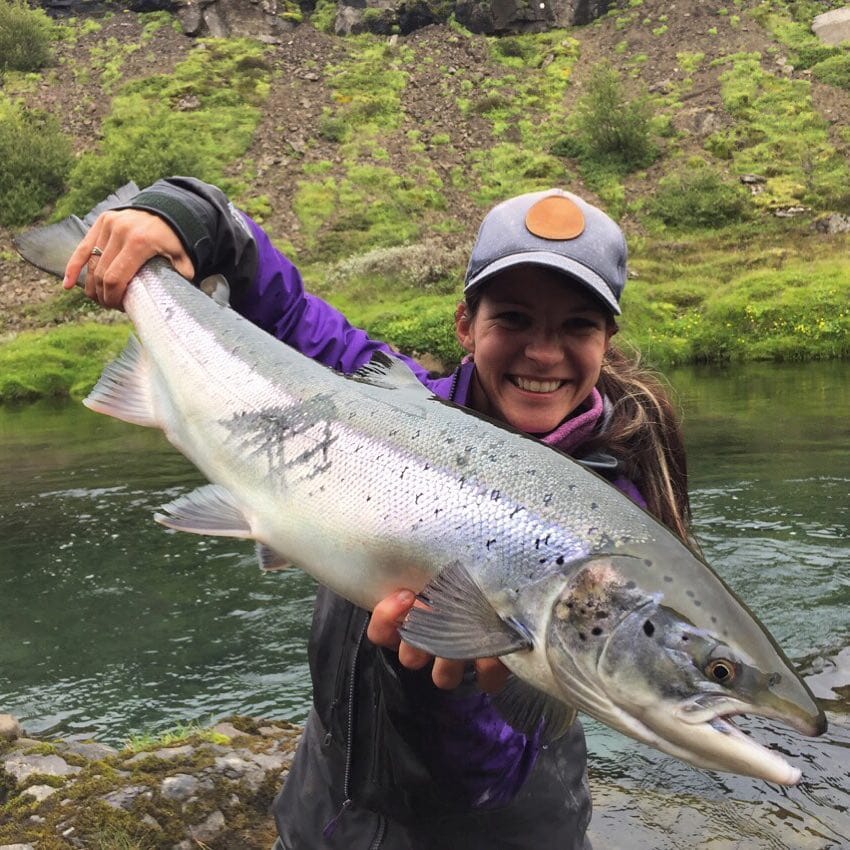 Atlantic salmon, Laxa I Kjos, Iceland, Aardvark McLeod