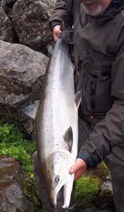 Atlantic salmon, Laxa I Kjos, Iceland, Aardvark McLeod