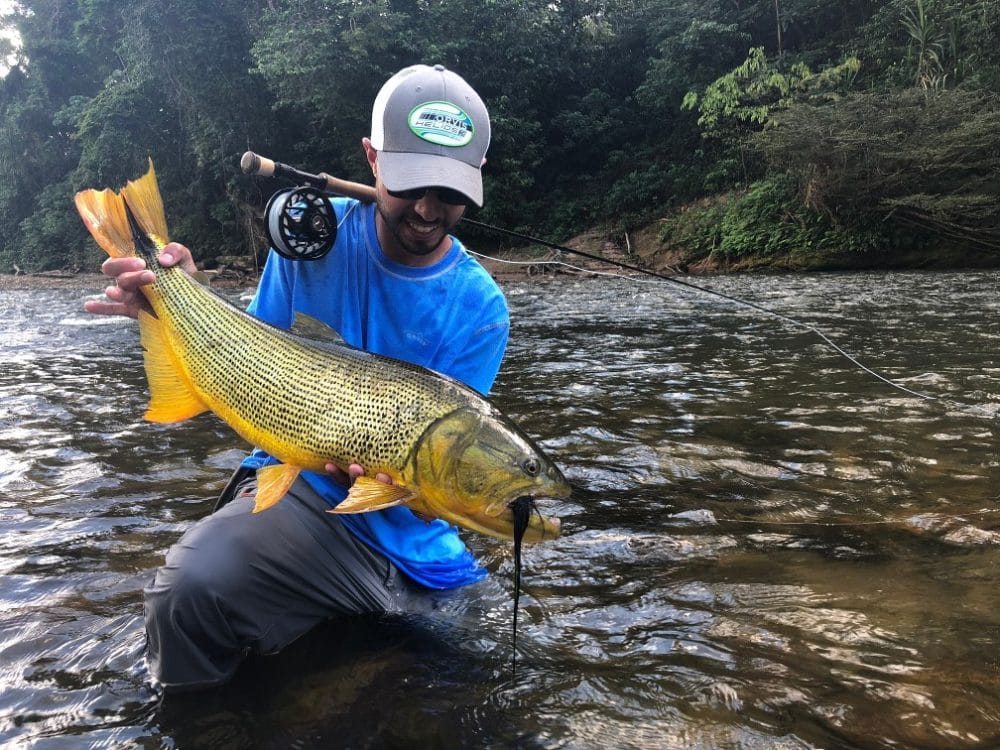 Bolivia, Tsmiane, Bolivia Tsimane, Bolivia Dorado, Tsimane Dorado, fishing for Dorado, Bolivia fishing, Bolivia Pacu, Aardvark McLeod Bolivia, Bolivia Secure Lodge fishing, Bolivia Agua Negra fishing, Bolivia Pluma Lodge fishing