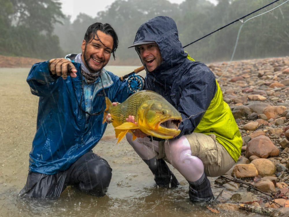 Agua Negra, Bolivia, dorado