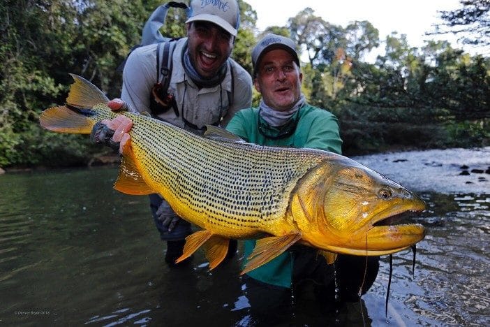 Bolivia, Tsmiane, Bolivia Tsimane, Bolivia Dorado, Tsimane Dorado, fishing for Dorado, Bolivia fishing, Bolivia Pacu, Aardvark McLeod Bolivia, Bolivia Secure Lodge fishing, Bolivia Agua Negra fishing, Bolivia Pluma Lodge fishing