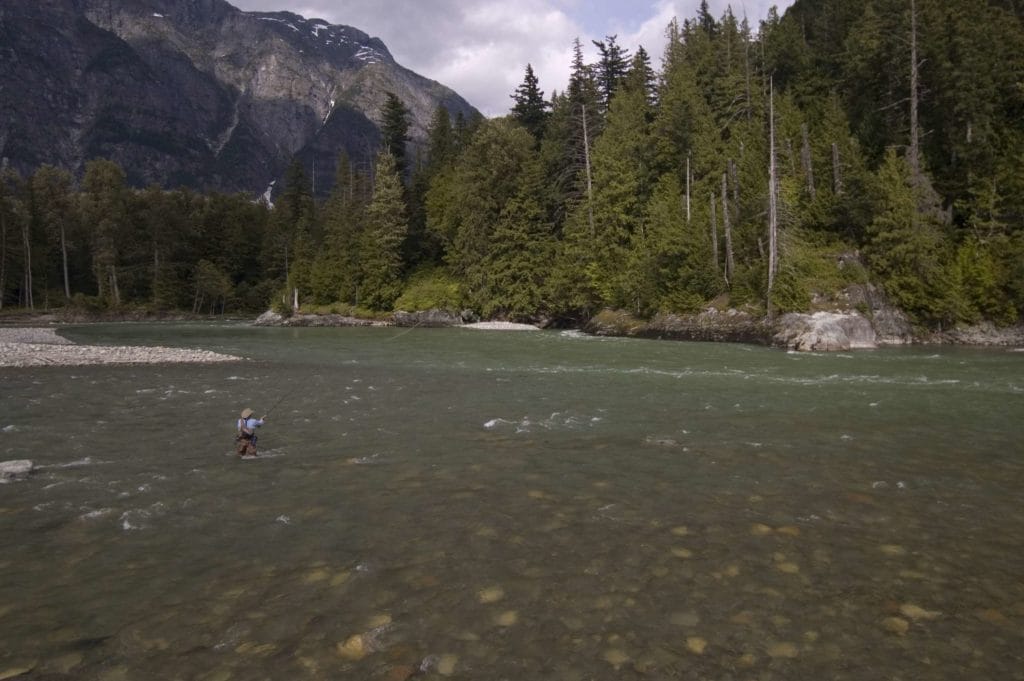 BC West, fishing BC West, Fishing British Columbia, fishing Canada, steelhead fishing canada, king salmon fishing canada, fly fishing canada, aardvark mcleod