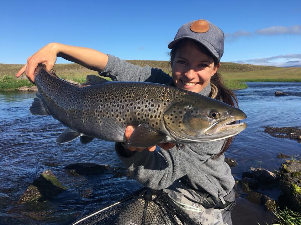 Atlantic salmon, Laxa I Kjos, Iceland, Aardvark McLeod