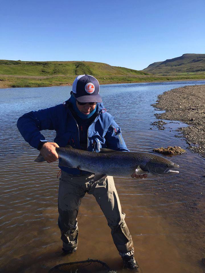 Atlantic salmon, Laxa I Dolum Iceland, Aardvark McLeod