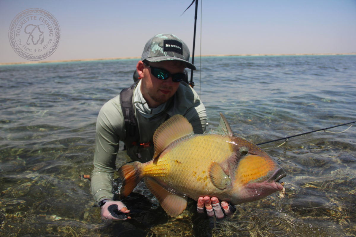 Sudan, triggerfish Sudan, Flats Fishing Sudan, Tourette Fishing Sudan, Nubian Flats Sudan, Trevally Sudan, GT Sudan