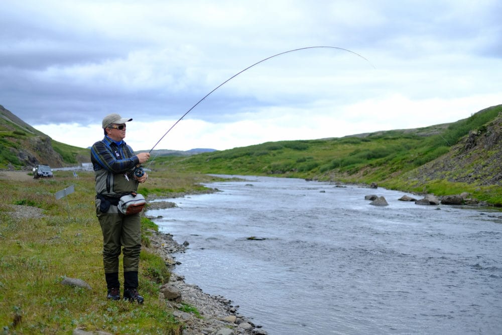 Langa, Iceland, Aardvark McLeod