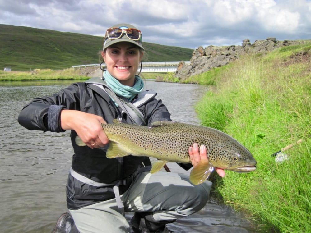 Brown Trout, Laxardal, Myvatnssveit, Iceland, Aardvark McLeod